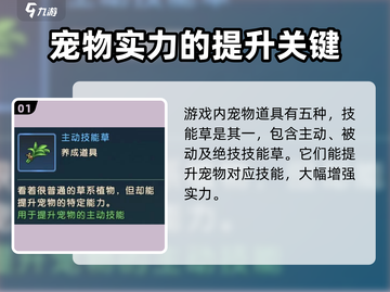 魔力宝贝复兴🔥宠物道具大全来袭！快收藏👇截图2