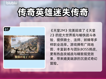 🎮天堂2M卡顿掉帧？加速器选择攻略来啦！🔥截图2