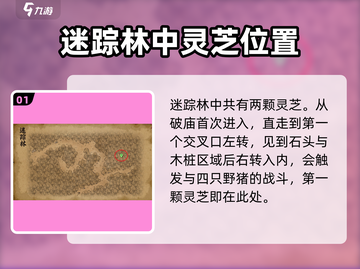 大侠立志传🔥迷踪林灵芝位置全揭秘！💡截图2