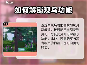 心动小镇观鸟操作🔥超全介绍来啦！🎉截图2