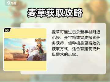 🎮沙石镇时光麦草获取全攻略！截图4