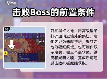 泰拉瑞亚🔥视域之魂获取攻略，轻松搞定！截图4