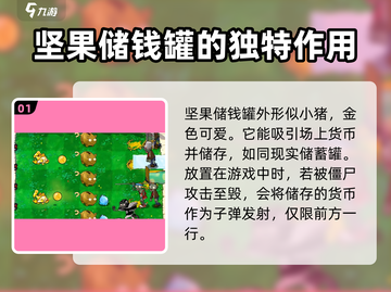 植物大战僵尸：杂交坚果储钱罐🔥超神作用等你发现！截图2