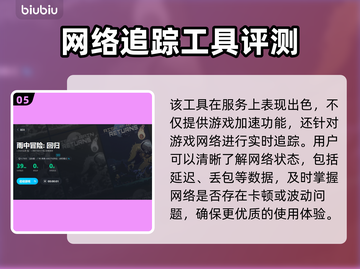 雨中冒险回归闪退？加速器拯救计划💥🎮截图6