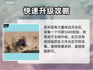 王权与自由⚡升级秘籍🔥快速提升等级！截图3