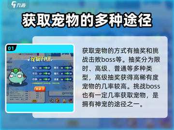 洛克王国💥神级宠物阵容🔥手游玩家必看！截图2