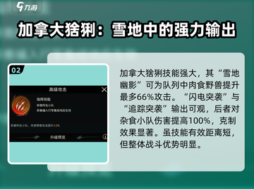 野兽领主新世界🔥加拿大猞猁技能强度大曝光！💥截图3
