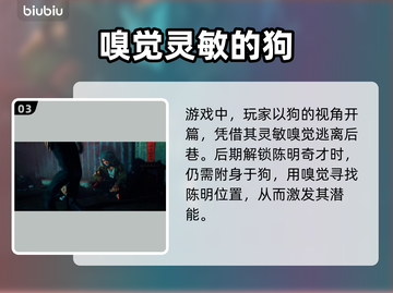 野狗子游戏🔥来奈何：命名秘密全揭秘！截图4