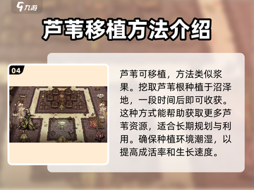 饥荒新家园🔥芦苇获取全攻略💎截图5