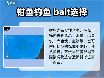 钓鱼星球❗钳鱼钓法大揭秘+FISH饵料推荐🐟截图3