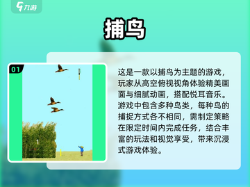 捕鸟达人🎉2024超耐玩手游推荐🔥截图2