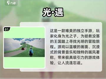 🔥类似《空洞骑士》的独立游戏推荐🎉截图2