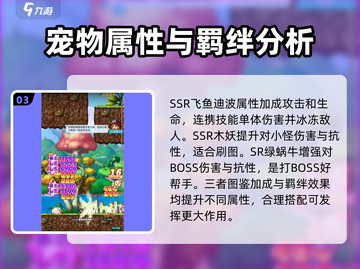 冒险岛联盟的意志🔥宠物搭配推荐来啦！截图4
