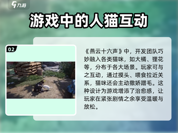 燕云十六声🔥超全休闲玩法攻略分享！游戏技巧大揭秘🎮截图3