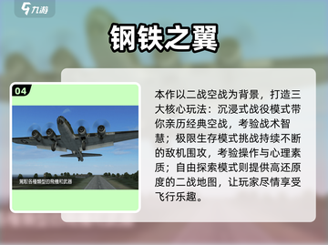 🔥2025必玩轰炸机小游戏推荐💥截图5