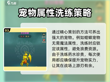 魔力宝贝复兴🔥宠物洗练终极攻略来啦！截图4