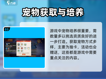 离火之境🔥：宝宝打书培养全攻略🎉截图4