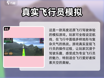 ✈2024必玩！热门飞机坠机&追击游戏TOP5🔥截图6