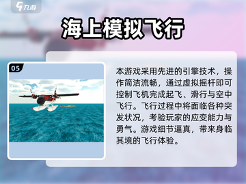 ✈2025超火飞机驾驶手游大揭秘！截图6