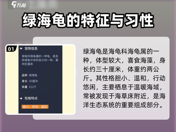 黎明之海💚绿海龟宠物获取方式大曝光！快人一步拥有它！截图2