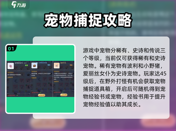 巴风特之怒手游🔥宠物玩法大全，助你战力飙升！截图2