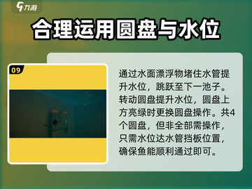 我是小鱼儿🔥食人鱼关卡玩法分享💡截图10