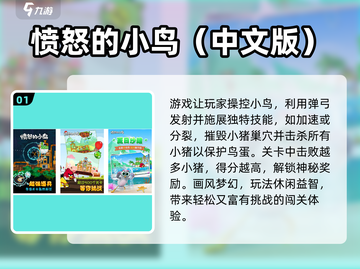 💥2025超🔥愤怒的小鸟游戏推荐！截图2