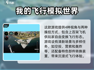 2024必玩🔥遥控飞机模拟游戏排行榜✈截图5