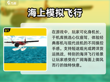 ✈2025最全飞行模拟游戏汇总，真实体验极限飞行！截图2