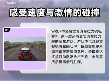 WRC7卡顿？💥优化秘籍，流畅体验🔥截图2