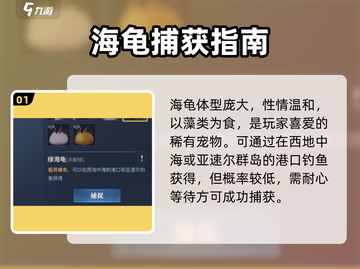 《黎明之海》绿海龟获取秘籍🔥截图2