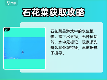 潜水员戴夫🔥石花菜获取秘籍💎截图2