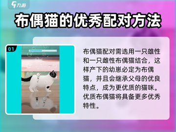 超喵星计划：布偶猫配对秘籍，快速养成猫咪王者🎉截图2