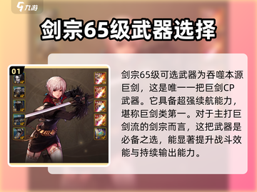 DNF手游🔥剑宗65武器最佳选择攻略💎截图2