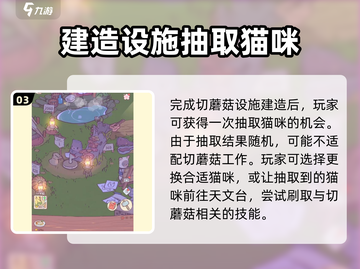 猫咪和汤切蘑菇建造🔥攻略，轻松搞定 mushrooms🎮截图4