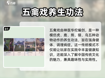 燕云十六声🔥五禽戏玩法大揭秘！游戏达人必看👇截图2