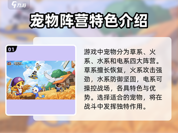 洛克王国💥宠物排行：这些宠称霸游戏🔥截图2
