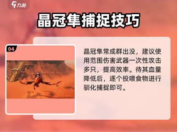 《创造吧！晶冠隼抓捕🔥》截图5