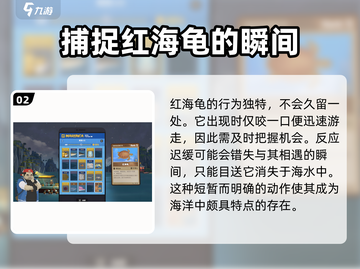 潜水员戴夫海龟拍照点💎位置大曝光！🎉截图3