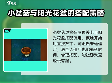 植物大战僵尸杂交版🔥最强植物排名&amp;推荐！游戏技巧大公开💡截图6