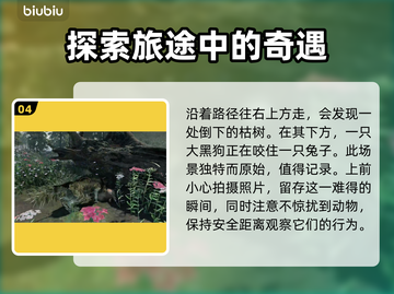 浪人崛起🔥拍摄家犬任务怎么完成？💡截图5