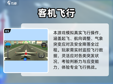 ✈2025最火中国客机模拟游戏合集！玩到上瘾截图6