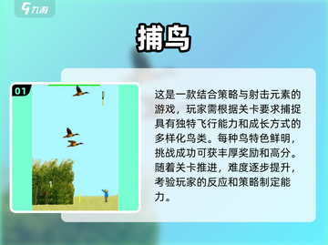 🔥2025最受欢迎的捉鸟养鸟手游是这款！🐦不容错过截图2