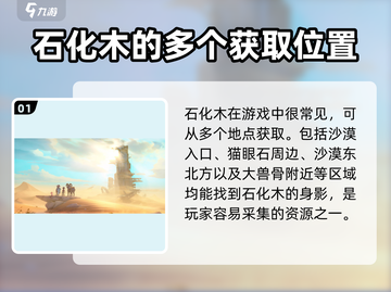 《沙石镇时光》🔥石化木位置大揭秘！快速获取方法在这里👇截图2