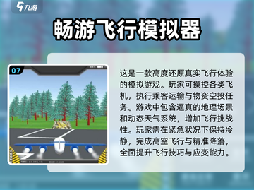 ✈2024必玩十大经典飞机游戏合集🔥截图8