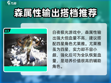 白夜极光🔥纳西莉丝最强阵容搭配🌟截图4