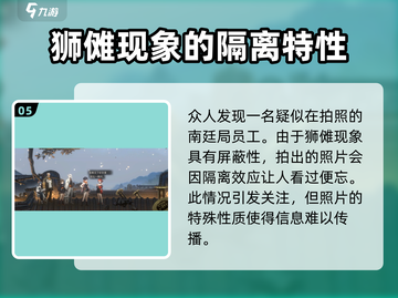 《新月同行》雨中支线全流程攻略✨🎮截图6