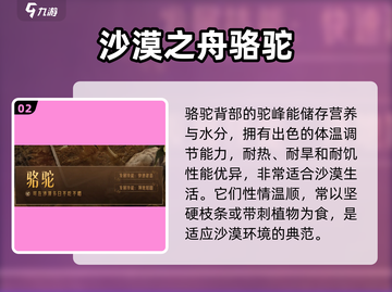 野兽领主新世界🔥骆驼坐骑超全解析来啦！截图3