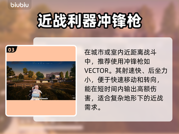 🎮PUBGM闪退卡顿？延迟丢包？一招解决！截图4