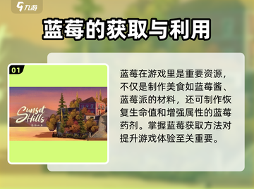 落日山丘🔥蓝莓位置大揭秘！快来看看在哪里采摘蓝莓吧游戏技巧分享🍇截图2